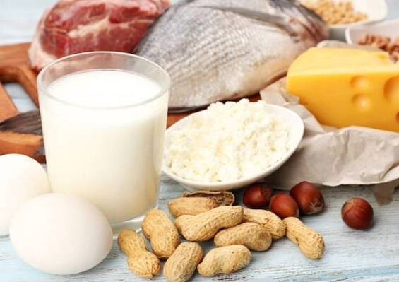 乳制品、鱼、肉、坚果和鸡蛋-蛋白质饮食的饮食